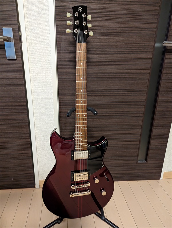 YAMAHA REVSTAR RSE20 RCPの画像